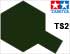 TS-2 Dark Green flat, 100 ml spray (Тёмный Зелёный матовый, краска в аэрозольной упаковке 100 мл), подробнее...