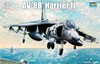 AV-8B Harrier II (Макдоннел Дуглас AV-8B «Харриер» II американский штурмовик вертикального взлёта и посадки), подробнее...